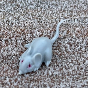 Dollhouse Miniature Mouse/Rat