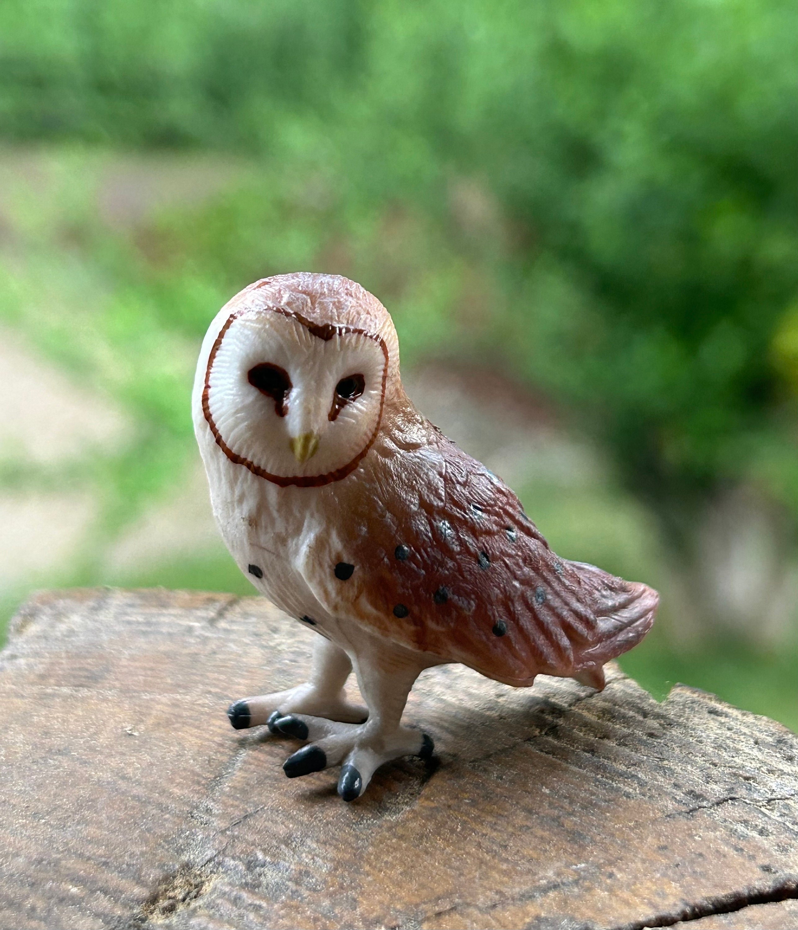 Miniature Owls - Your Choice Type - Etsy