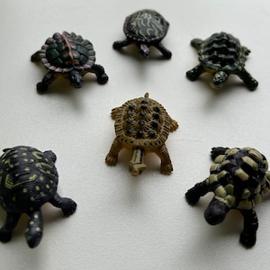 Dollhouse Miniature Turtle - your choice type