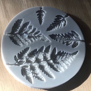 Fern Leaves Silicone Mold