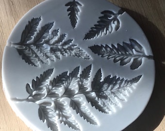 Fern Leaves Silicone Mold