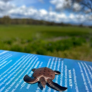 Puppenhausminiatur - Sea Life - nach Wahl