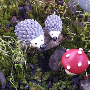 Miniatur Igel und Pilze Set