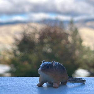 Dollhouse Miniature Mouse/Rat