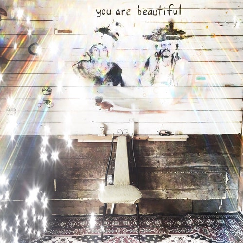 SMASHED GLADYS - Social Intercourse - 1988 Lp - Etsy