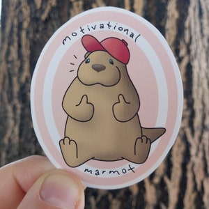 Das Murmeltier Motiv ist ein gesunder Vinyl Aufkleber