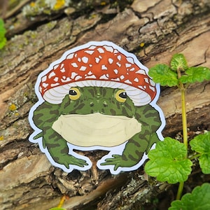 Sticker champignon vénéneux | autocollant grenouille | Autocollant durable mignon | Fait main