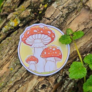 Sticker trio de champignons | Sticker champignon | Autocollant durable mignon | Fait main