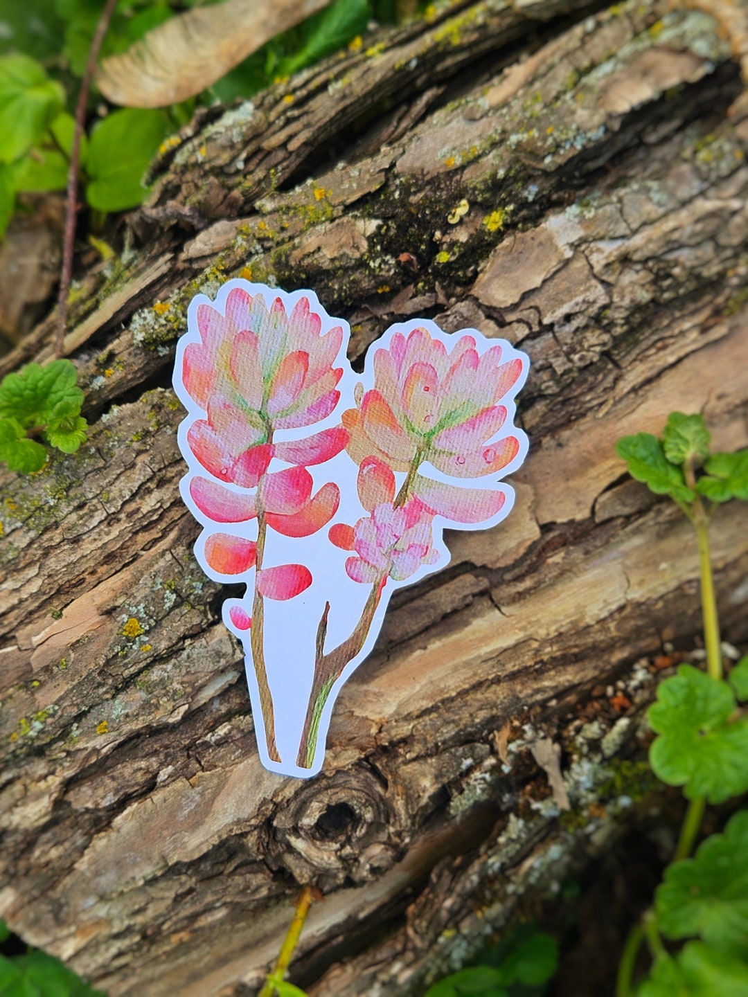 Bean Plot Sticker Jelly Bean Plant Sticker | Plant Sticker | Cute Durable Sticker ...