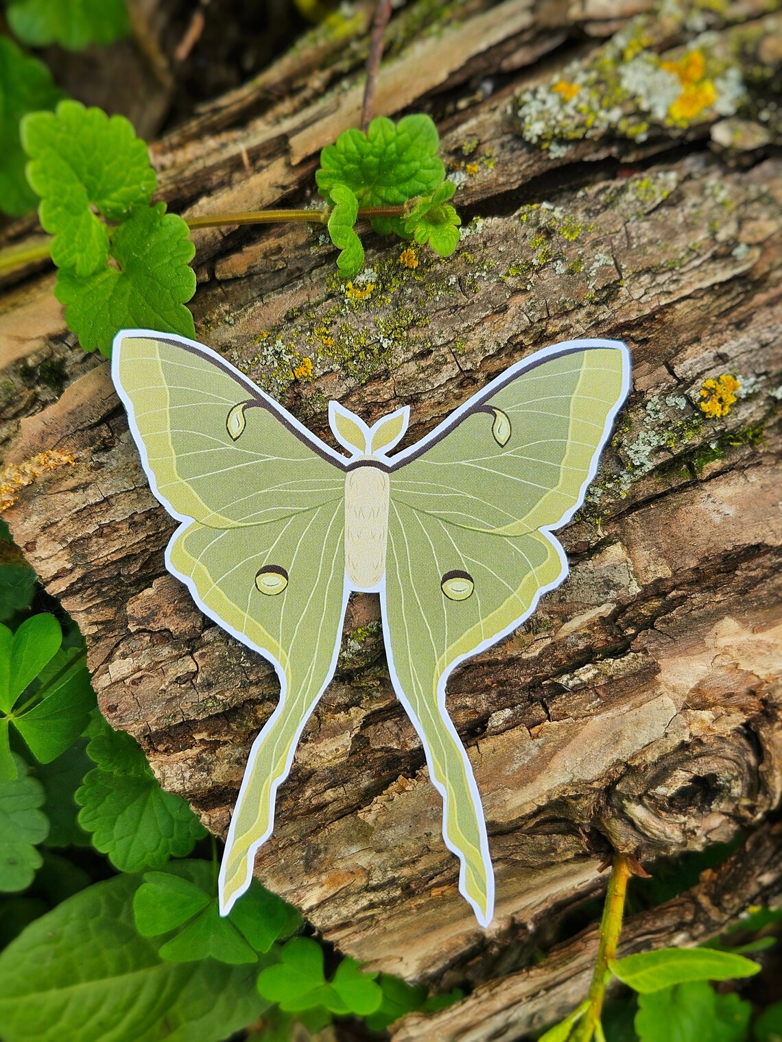 Luna Moth Sticker | Insect Sticker | Cute Durable Sticker | Handmade - Etsy