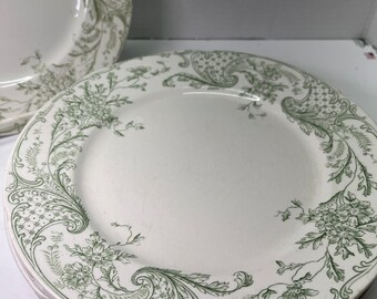 J&G Meakin Utopia  Green Transferware dinner plates Semi Porcelian perfect with Ironstone Set of 6