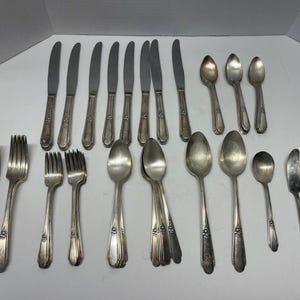 May include: A collection of silver-toned flatware including seven dinner knives, four dinner forks, four salad forks, four large spoons, three small spoons, one medium spoon, and one butter knife. Each piece features a decorative floral motif on the handle.