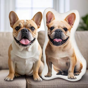Puede incluir: Dos almohadas de perro Bulldog Francés. Una es una almohada estándar y la otra es una almohada de cuerpo. Ambas almohadas presentan un Bulldog Francés de color canela y blanco con una lengua rosa.