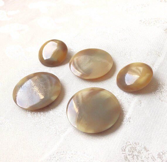 Made in Holland Caramel Coat Buttons (Bakelite?) Made in Holland Caramel Coat Buttons (Bakelite?)