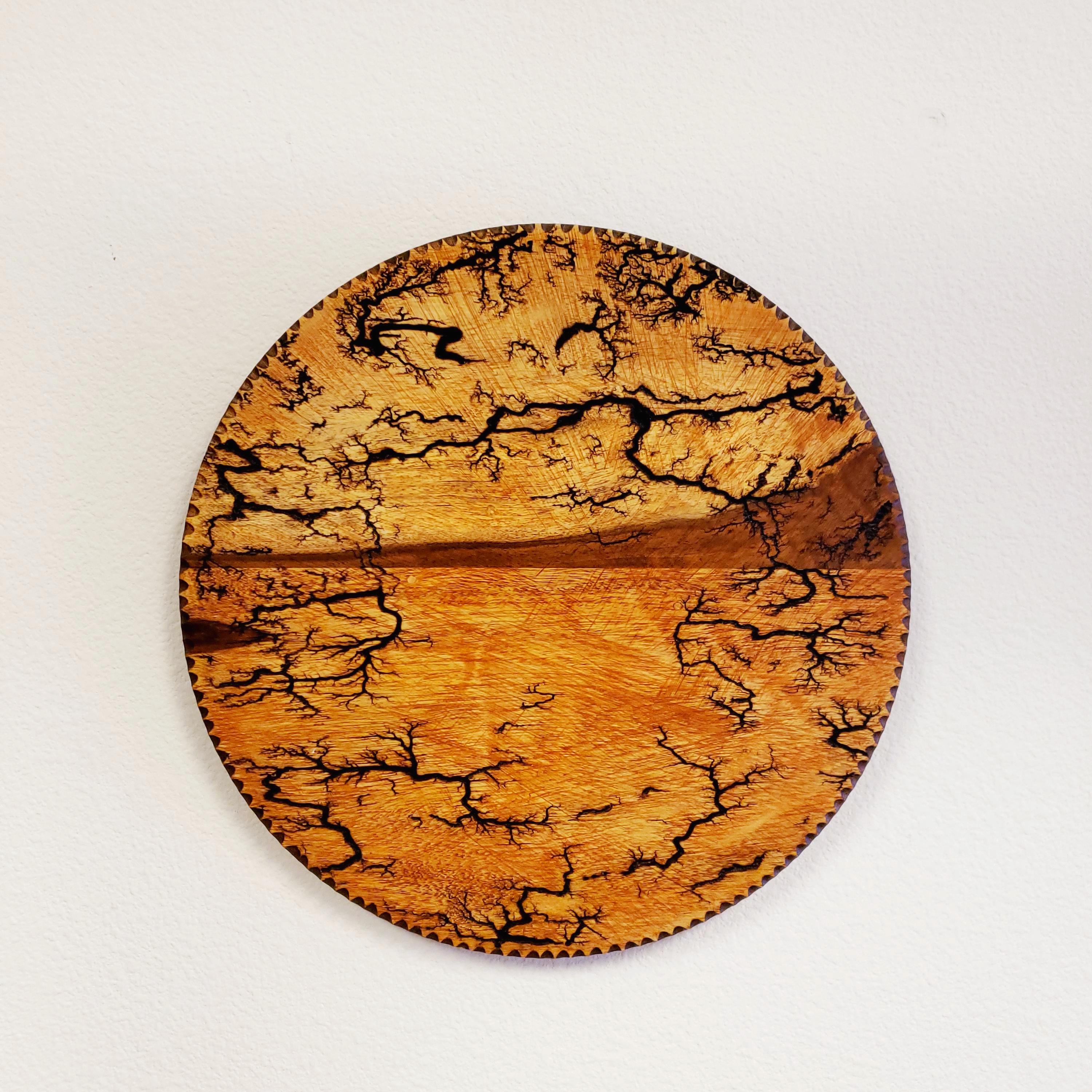 Round Rosewood Wall Art With Lichtenberg Figures – Handmade Wooden Burn ...