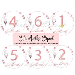 Jalon mensuel bébé pour bébé fille PNG SVG, carte de mois bébé, jalon fille, croissance mensuelle de bébé, jalon mensuel pour bébé