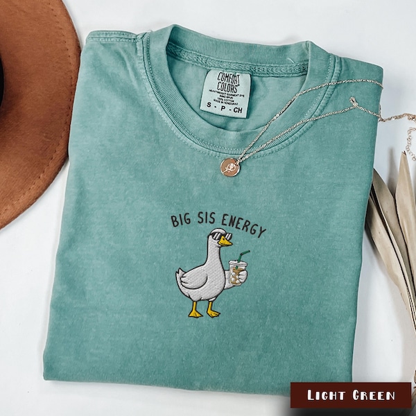 Embroidered Big Sister Goose Shirt, Retro Big Sis Gift, Baby Shower Pregnancy Reveal Gift, Cute Big Sister Tshirt, New Big Sister Tee