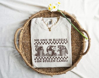 No One Is Illegal On Stolen Land Shirt, Immigration Shirt, Anti Racism Shirt, Activist Protest Shirt, Comfort Colors® Raccoon T Shirt