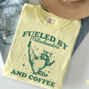 Funny Science Teacher Shirt, Retro Biology Teacher Back To School Science Humor Raccoon Tshirt, Teacher Appreciation Comfort Colors® Tee