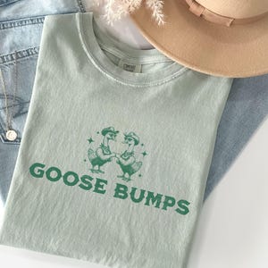 Silly Goose Shirt, Goose Bumps Western Silly Goose On the Loose Retro Meme Tshirt, Goose Gift For Animal Lover, Comfort Colors® Goose Tee