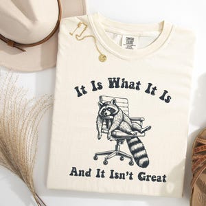 Raccoon Funny Shirt, It Is What It Is And It Is Not Great Vintage Comfort Colors Trash Panda Tshirt, Funny 90s Raccoon Shirts, Raccoon Tee