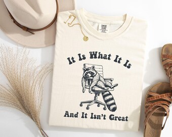 Raccoon Funny Shirt, It Is What It Is And It Is Not Great Vintage Comfort Colors Trash Panda Tshirt, Funny 90s Raccoon Shirts, Raccoon Tee