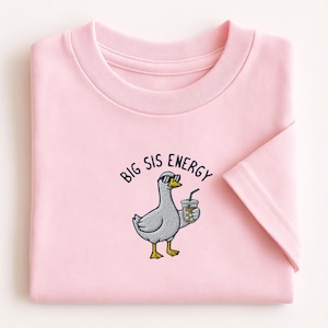 May include: A light pink t-shirt featuring an embroidered graphic of a grey goose wearing sunglasses and holding a clear plastic cup with a straw. Above the goose, the text BIG SIS ENERGY is embroidered in a dark blue, sans-serif font.