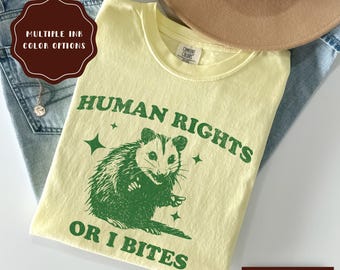 Shirt mensenrechten, shirt Comfort Colors® feministische liberale gelijkheid, grote fan van mensenrechtencadeau voor activist, retro progressief T-shirt