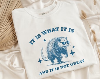 Possum Shirt, Vintage Opossum Shirt, Funny Possum Meme Shirt, Retro 90s Comfort Colors® Possum Lover Gift, Possum TShirt