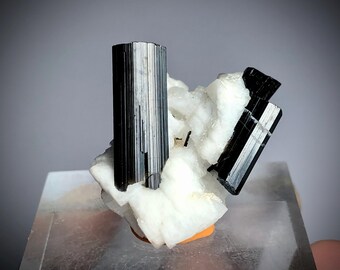 Schorl Tourmaline Crystal on White Feldspar, Pakistan