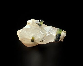 Stak Nala Tourmaline Crystals on Quartz, Pakistan Mineral Specimen