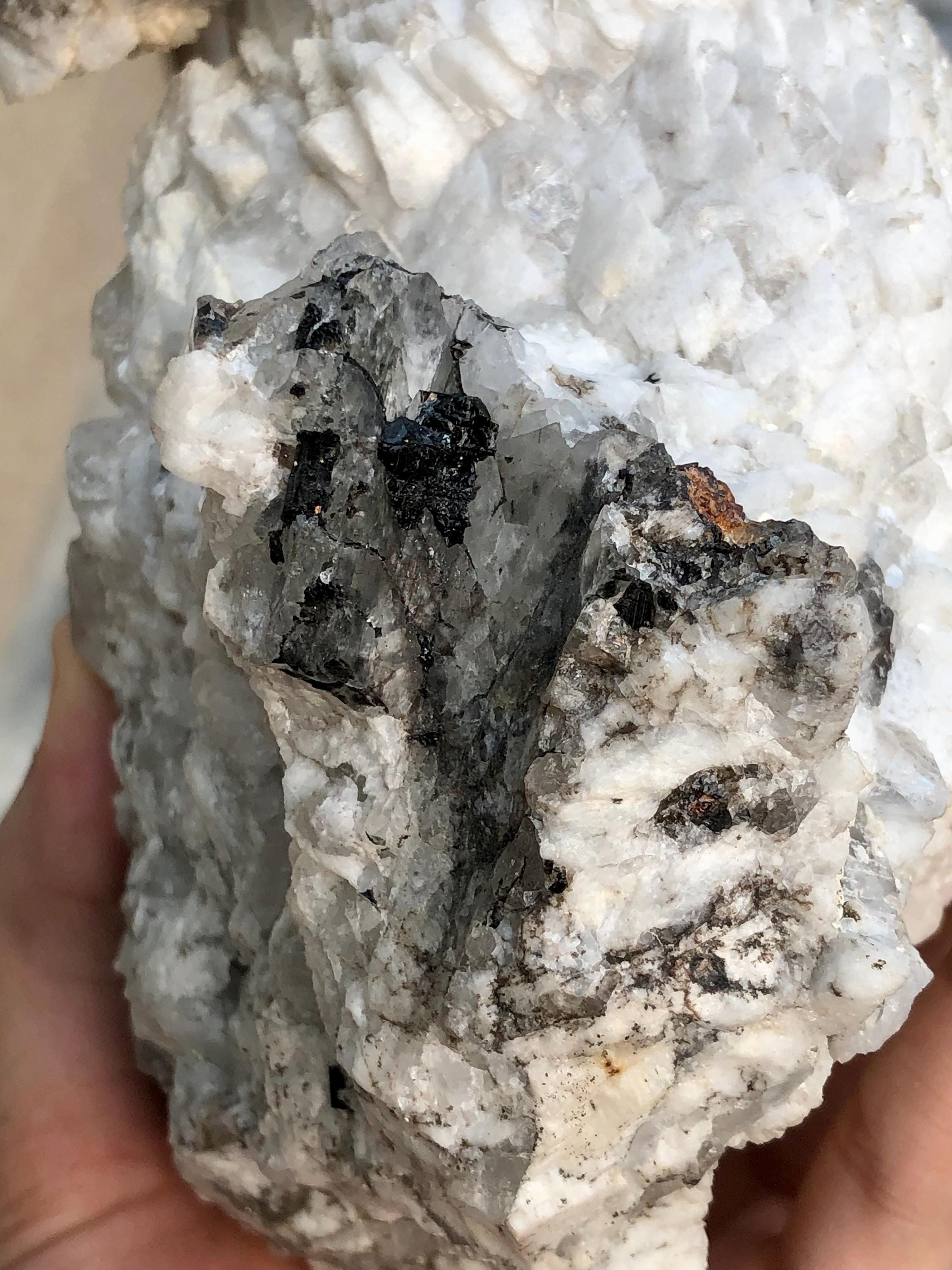 クォーツショール白雲母標本：パキスタン、スカルドゥ産ホワイト