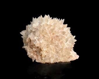 May include: A cluster of light beige crystals with sharp, pointed tips. The mineral formation has a rough, textured surface and is set against a black background. The crystals are clustered together, creating a spiky, irregular shape.