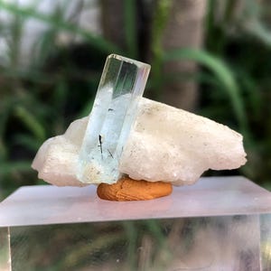 35.80 Carat Aquamarine Crystal Specimen: Skardu Pakistan Mineral