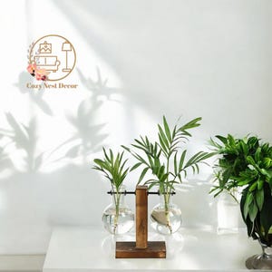 Hydroponische Pflanzenvasen mit Holzrahmen - Glasvermehrungsstation, Knospe Vase, Wohnkultur, Terrarium, Geschenkidee für Sie