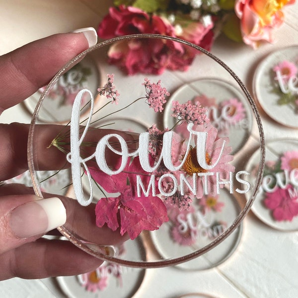 Pressed Flower Acrylic Monthly Milestone Set | Newborn Photo Prop | Floral Baby Name Sign | Monthly Milestone Set | Pressed Flower Art