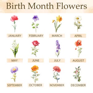Pu&ograve; includere: Un'illustrazione ad acquerello dei fiori del mese di nascita. Ogni mese &egrave; rappresentato da un fiore diverso, tra cui un garofano rosso per gennaio, una viola per febbraio e un narciso per marzo. Il testo "Birth Month Flowers" &egrave; in alto.