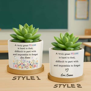 Team Appreciation Plant Pot, A Truly Great Team Is Hard To Find, Team Thank You Gift,Coworker Appreciation,Office Gift,Employee Appreciation