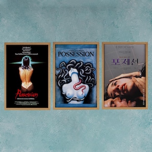Possession Movie Poster Wall Art Decor Rome Decor Film Poster Collectibles Birthday Gifts