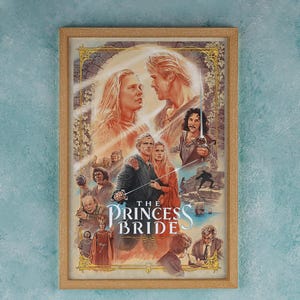 The Princess Bride 1987 Film Poster Wand Kunst Dekor Rom Dekor Film Poster Sammlerstücke Geburtstag Geschenke