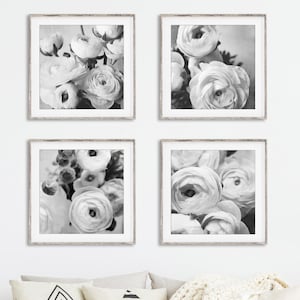 Black and White Flower Photography, Set of 4 Prints, White Ranunculus Flowers, Photography Print Set, Gallery Wall, Floral Botanical Prints