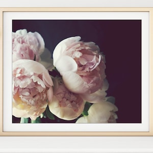 Peony Photograph, Flower Still Life Print, Dark Floral Botanical Print, Pale Pink Flower Bouquet Photography, Bedroom Art, Peonies Wall Art