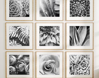 Botanical Print Set, Black and White Photography, Set of 9 Prints, Flowers Leaves, Nature Art, 8x8 5x5 10x10 Prints - Save 50%