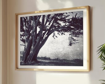 Cypress Tree Print, Landscape Photography, Black and White Wall Art, California, Charcoal Gray Wall Art, 8x10 16x20 Print