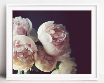 Peony Wall Art - Flower Still Life Photography Dark Floral Botanical Print Pale Pink