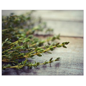 Thyme Print, Fresh Herbs, Rustic Kitchen Decor, Food Photography, Still Life, Spices Wall Art, Farmhouse Kitchen Print image 4