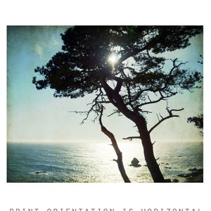 Cypress Tree Print, Ocean Photography, California Coastal Wall Art, Ocean Print, Blue Black, Beach Photography, Nature Photography