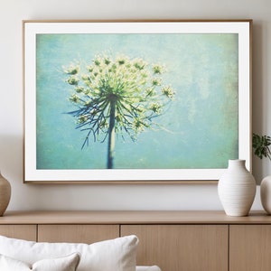 Botanical Photography Print Pastel Blue Queen Anne&#39;s Lace Wildflower Wall Art - True Blue