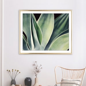 Agave Print, Nature Photography, Sage Green Wall Art, Botanical Print, Desert Southwest Decor, Succulent Wall Art, 8x10 16x20 Print image 6