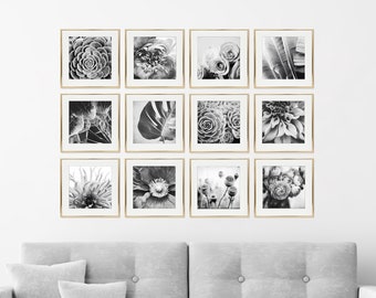 SALE Black and White Photography Botanical Print Set, Set of 12 Prints, Gallery Wall Set, 5x5 8x8, Flowers Leaves, Photography Prints
